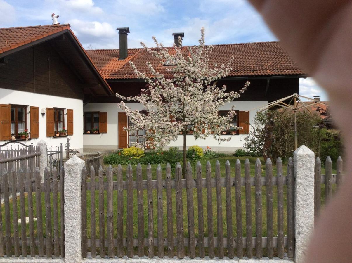 Ferienwohnung Hoermann Langdorf  Exterior photo